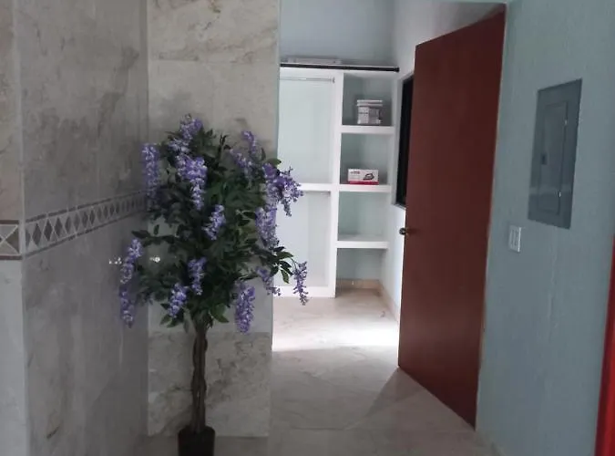 Departamento Tayde San Jose del Cabo